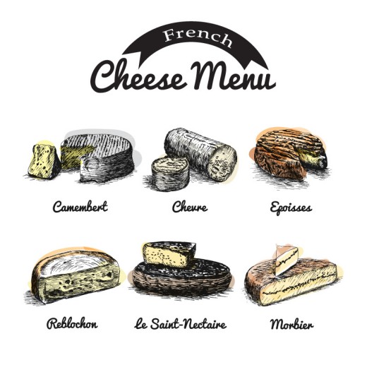 6款复古彩绘法国奶酪矢量素材16图库网精选