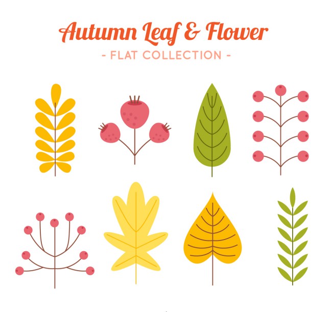 8款扁平化秋季树叶和花卉矢量图16图库网精选