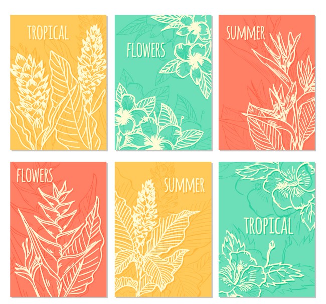 6款创意白色夏季热带植物卡片矢量素材普贤居素材网精选