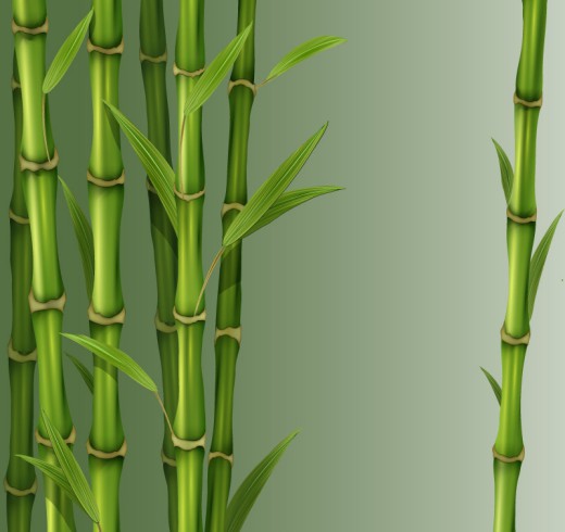 精美绿色竹子矢量素材普贤居素材网精选