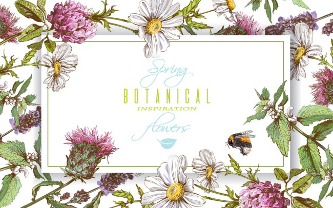 彩绘春季花卉和蜜蜂框架矢量素材16图库网精选