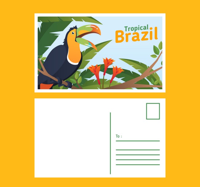 创意巴西巨嘴鸟明信片正反面矢量图16设计网精选