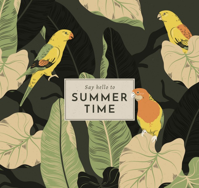 复古手绘夏季鹦鹉和叶子矢量素材16图库网精选
