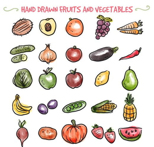 25款手绘水果和蔬菜矢量素材普贤居素材网精选