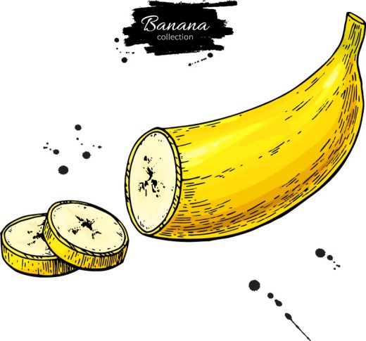 切片的黄色香蕉和墨迹矢量素材16图库网精选