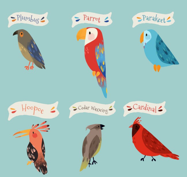 6款彩绘标注名称的鸟类矢量图普贤居素材网精选