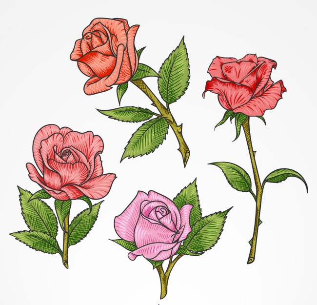 4款彩色单枝玫瑰花矢量素材16图库网精选