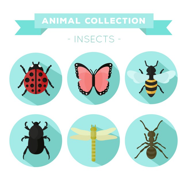 6款彩色昆虫图标矢量素材16图库网精选