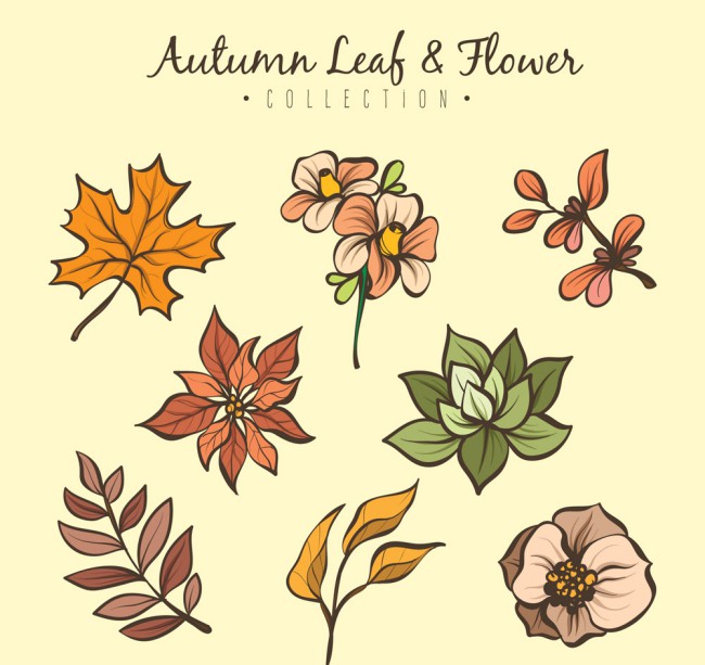 8款彩绘秋季花卉和叶子矢量图16素材网精选