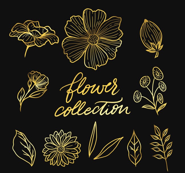11款金色花卉和叶子矢量素材16图库网精选