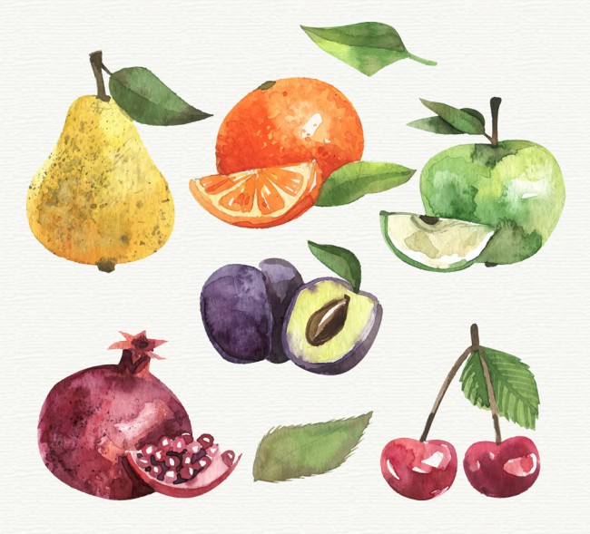 6款水彩绘水果和叶子矢量素材16素材网精选