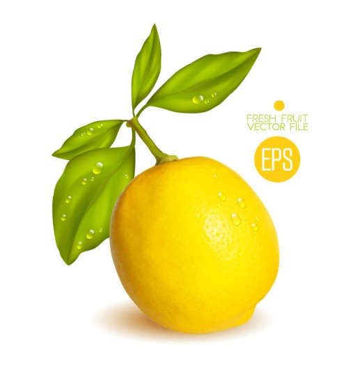 新鲜黄色柠檬矢量图16图库网精选