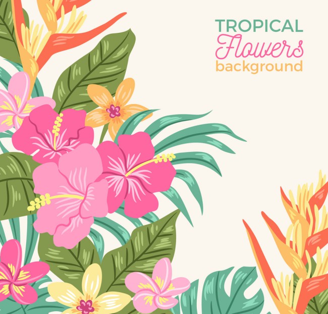 彩色热带花卉矢量素材16图库网精选