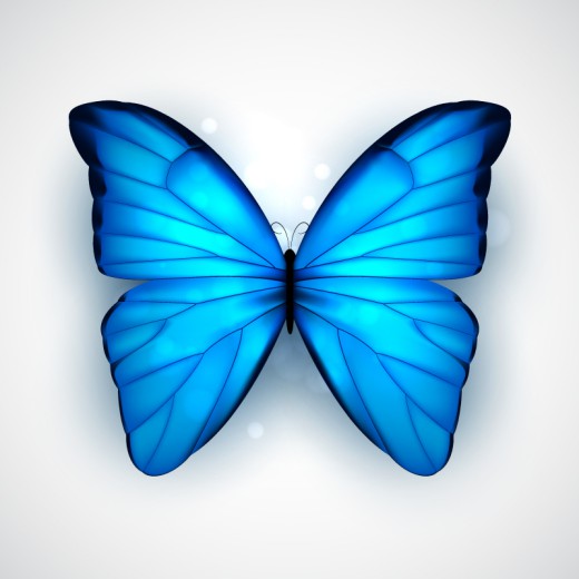 美丽蓝色蝴蝶矢量素材普贤居素材网精选