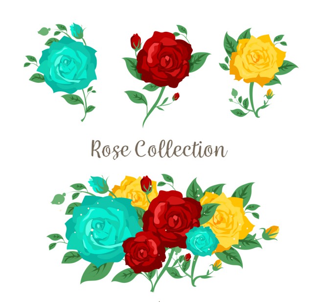 3款彩色玫瑰花和花束矢量素材16图库网精选