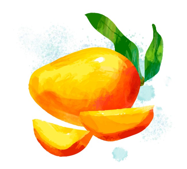 水彩绘美味芒果矢量素材16图库网精选