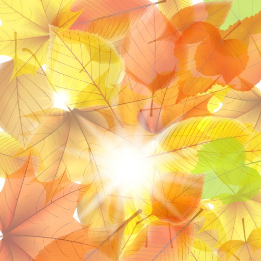 明媚阳光与秋叶背景矢量素材16设计网精选