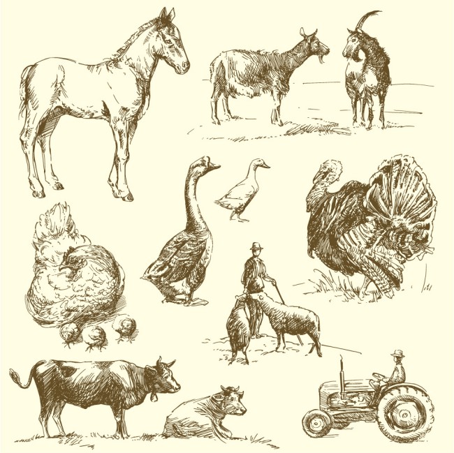 10款手绘农场动物矢量素材普贤居素