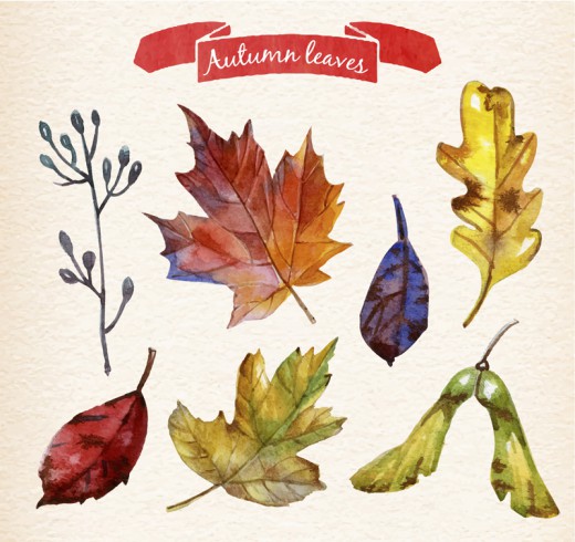 7款彩绘秋天树叶设计矢量素材16图库网精选