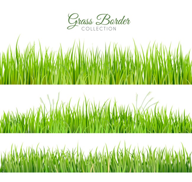 3款清新绿色草丛设计矢量素材素材中国网精选