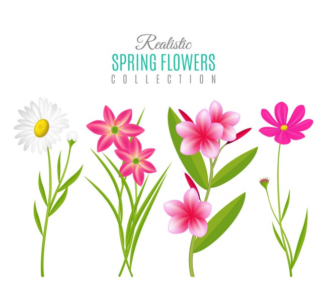 4款创意春季花卉矢量素材16图库网精选