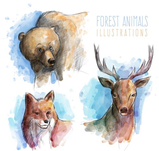3款彩绘动物头像矢量素材16图库网精选