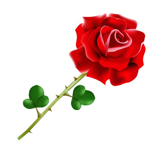 盛开的红色玫瑰花矢量图16素材网精选