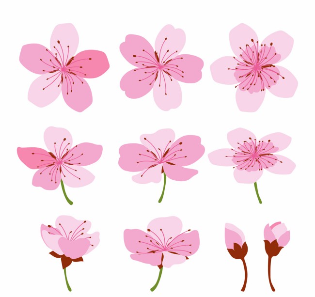 10款彩绘粉色樱花矢量素材16图库网精选