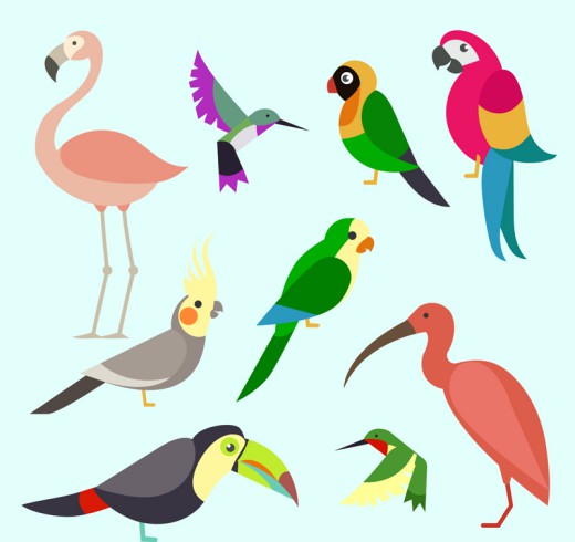 9款彩色鸟类设计矢量素材16图库网精选
