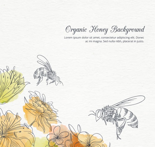 两只彩绘花丛中采蜜的蜜蜂矢量素材16设计网精选