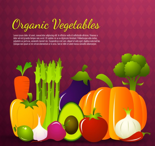 13种卡通蔬菜设计矢量素材16素材网