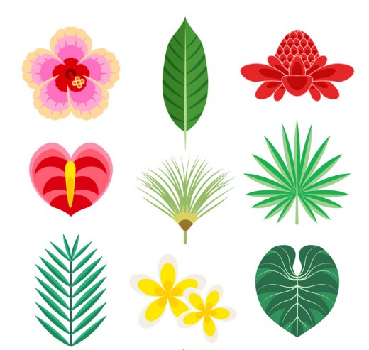 9款彩色热带花卉和叶子矢量素材16素材网精选