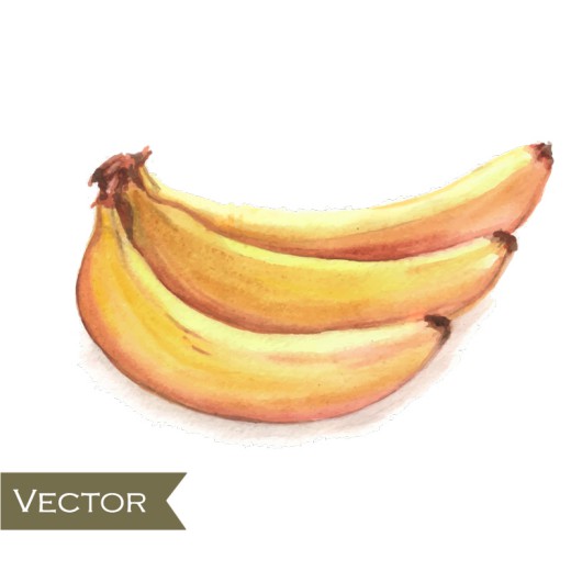 美味黄色香蕉矢量素材16设计网精选