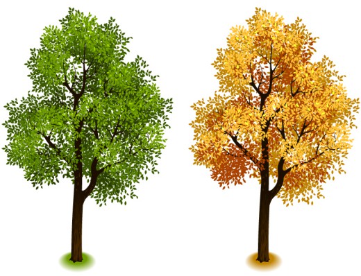 夏秋树木设计矢量素材素材天下精选