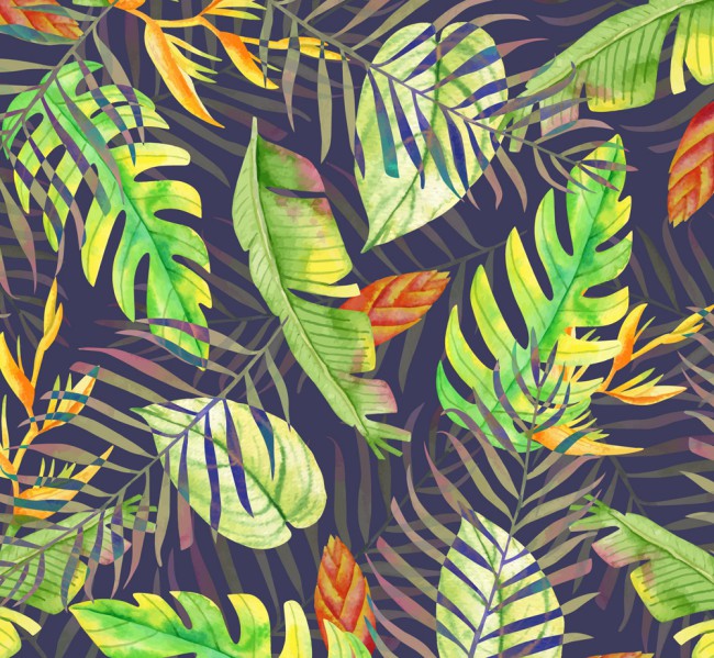 创意热带树叶背景矢量素材16设计网精选