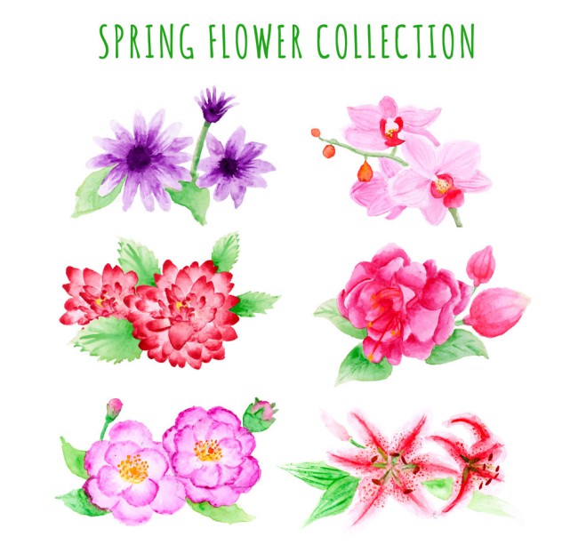 6款彩绘春季花卉矢量素材16素材网精选