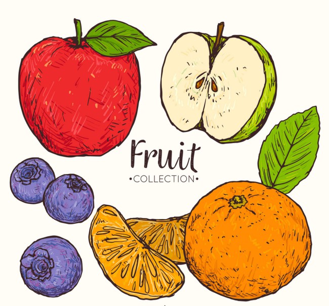 4款手绘彩色水果矢量素材16素材网精选