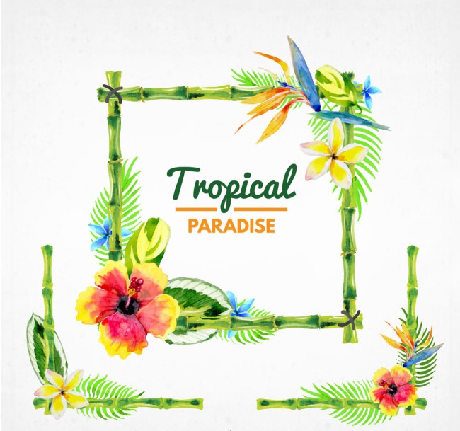 3款水彩绘热带花卉边框矢量图图普