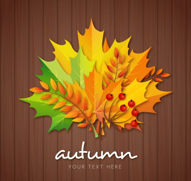 彩色秋季树叶花束矢量素材16素材网精选