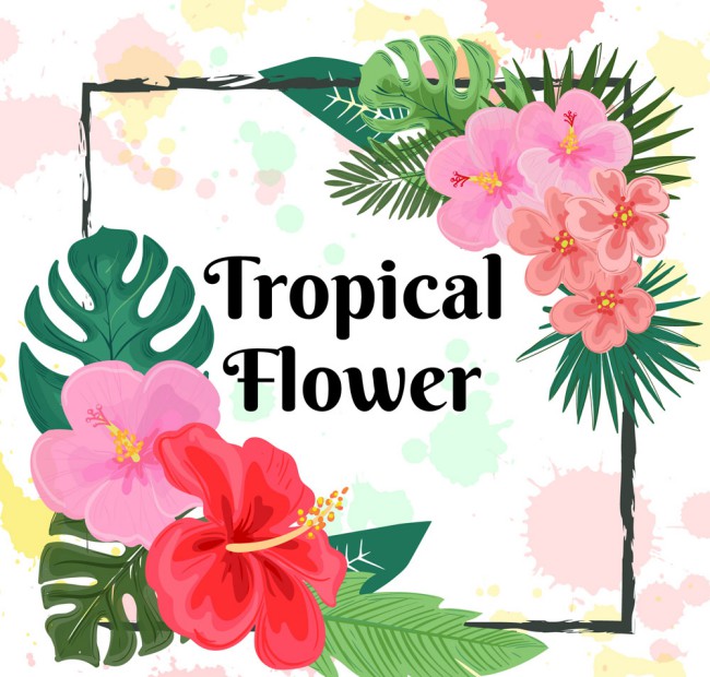 彩色热带花卉框架设计矢量素材16图库网精选