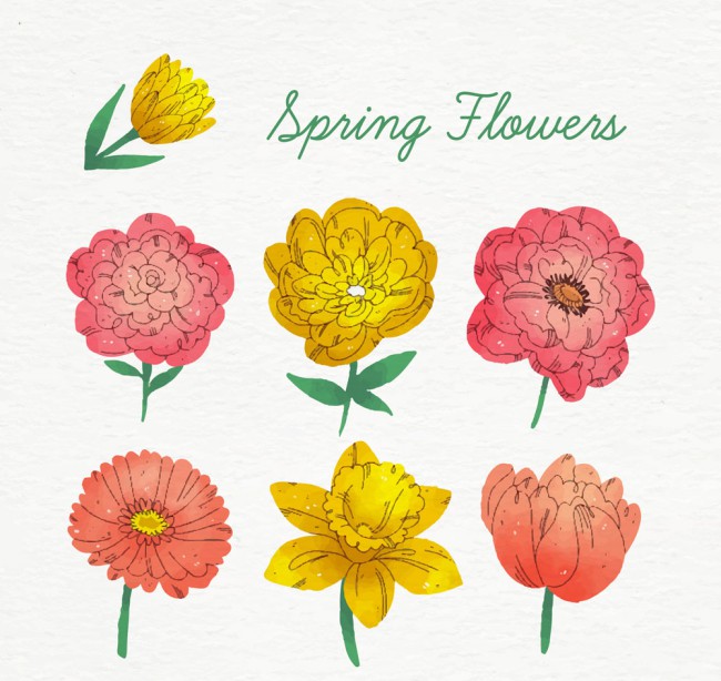 7款彩绘春季花朵矢量素材普贤居素材网精选