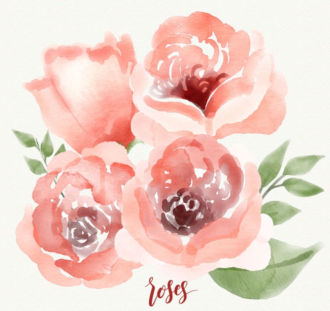 水彩绘4朵粉色玫瑰花矢量素材普贤居素材网精选