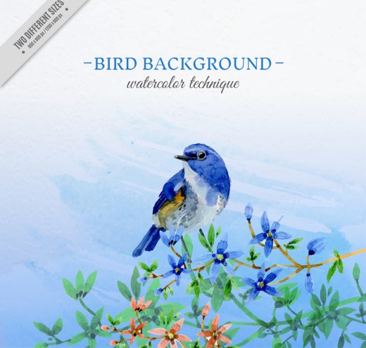 水彩绘蓝色鸟和花卉矢量图16设计网精选