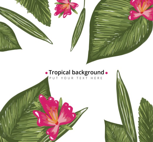 彩绘热带植物叶子花卉背景矢量素材16素材网精选