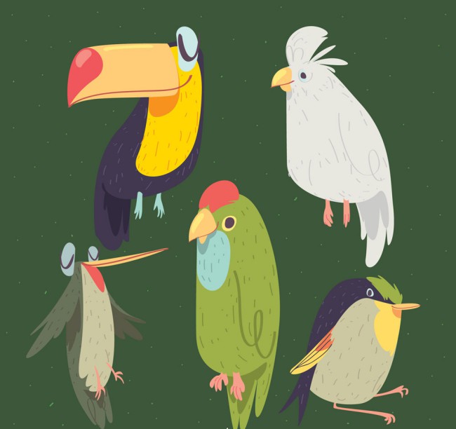 5款手绘鸟类设计矢量素材16图库网精选
