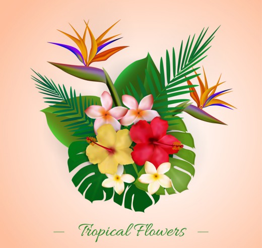 彩色热带植物花束矢量素材素材天下精选