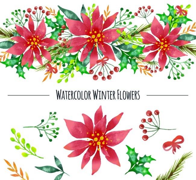 水彩绘冬季植物和花边矢量素材素材天下精选