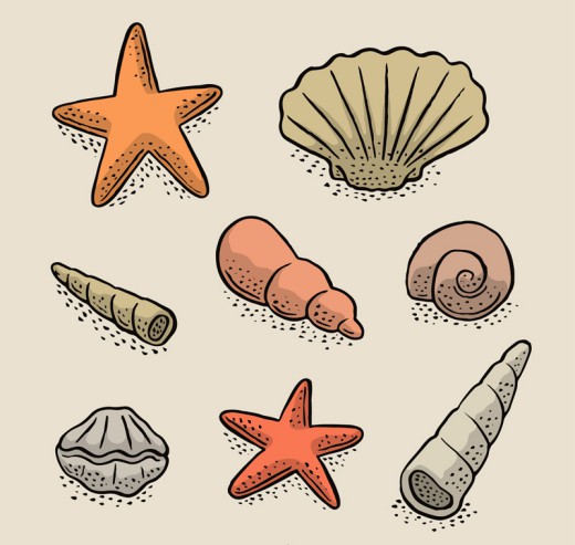 8款彩绘贝壳和海星矢量素材16图库网精选