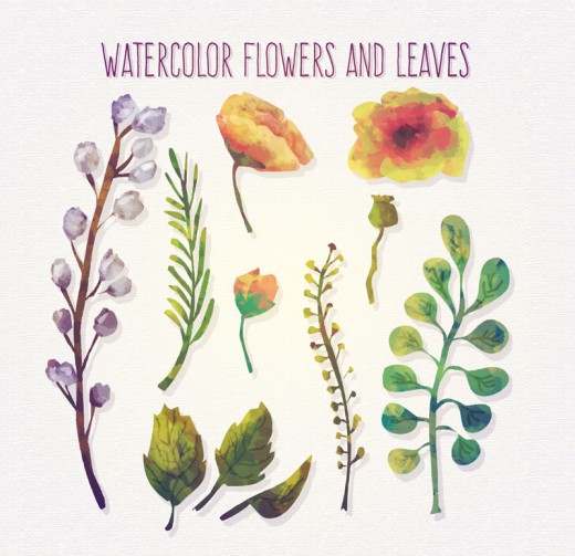 11款水彩绘花朵和叶子矢量素材16图库网精选