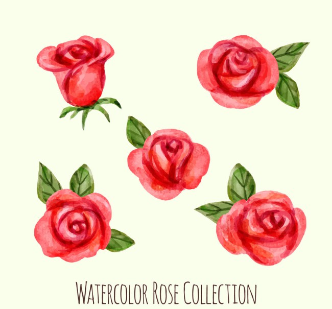 5款水彩绘红玫瑰矢量素材素材中国网精选